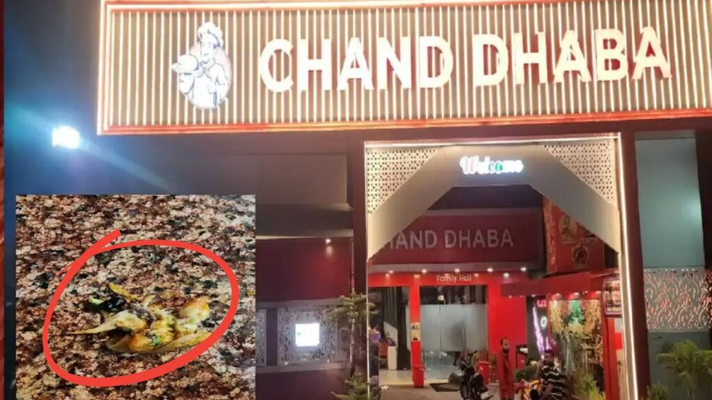 BIJNOR: ढाबे के “Tandoori Chicken” में मिला कॉकरोच, वीडियो वायरल