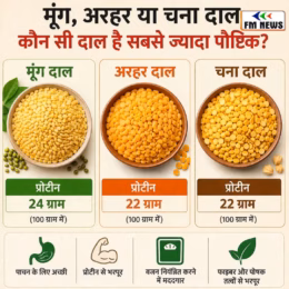 Moong Vs Arhar Vs Chana Dal: मूंग,अरहर या चना,जानें कौन सी दाल सबसे ज्यादा फायदेमंद है