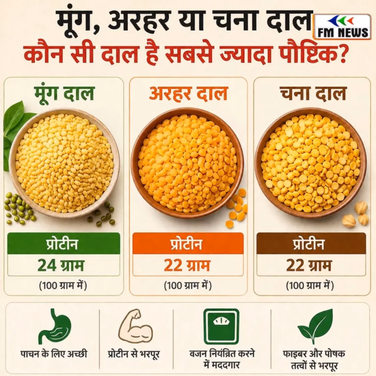 Moong Vs Arhar Vs Chana Dal: मूंग,अरहर या चना,जानें कौन सी दाल सबसे ज्यादा फायदेमंद है Moong Vs Arhar Vs Chana Dal: मूंग,अरहर या चना,जानें कौन सी दाल सबसे ज्यादा फायदेमंद है