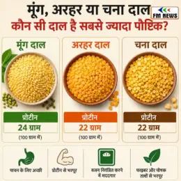 Moong Vs Arhar Vs Chana Dal: मूंग,अरहर या चना,जानें कौन सी दाल सबसे ज्यादा फायदेमंद है Moong Vs Arhar Vs Chana Dal: मूंग,अरहर या चना,जानें कौन सी दाल सबसे ज्यादा फायदेमंद है