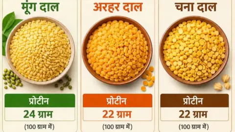 Moong Vs Arhar Vs Chana Dal: मूंग,अरहर या चना,जानें कौन सी दाल सबसे ज्यादा फायदेमंद है