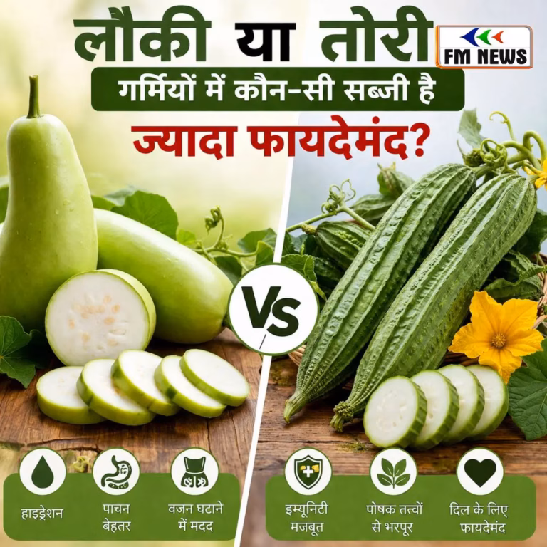 Lauki vs Tori: लौकी या तोरी, गर्मियों में कौन-सी सब्जी है ज्यादा फायदेमंद? जानें पूरी सच्चाई Lauki vs Tori: लौकी या तोरी, गर्मियों में कौन-सी सब्जी है ज्यादा फायदेमंद? जानें पूरी सच्चाई