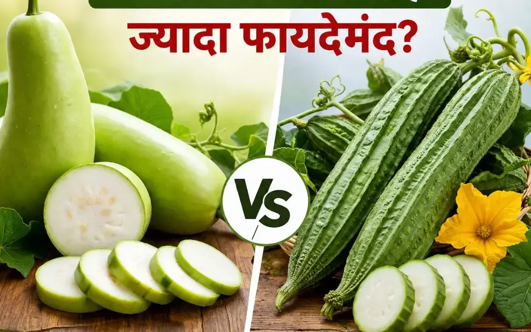 Lauki vs Tori: लौकी या तोरी, गर्मियों में कौन-सी सब्जी है ज्यादा फायदेमंद? जानें पूरी सच्चाई