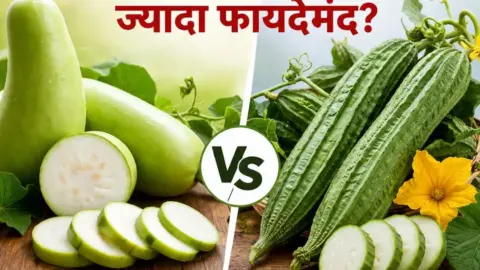 Lauki vs Tori: लौकी या तोरी, गर्मियों में कौन-सी सब्जी है ज्यादा फायदेमंद? जानें पूरी सच्चाई