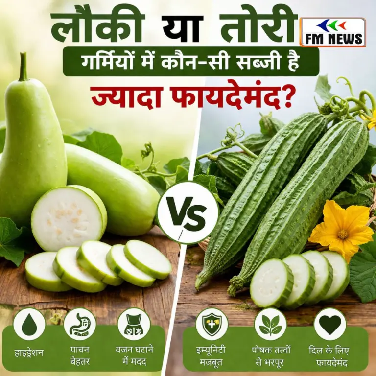 Lauki vs Tori: लौकी या तोरी, गर्मियों में कौन-सी सब्जी है ज्यादा फायदेमंद? जानें पूरी सच्चाई