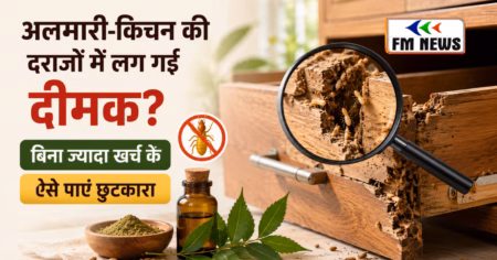 अलमारी-किचन की दराजों में लग गई दीमक? बिना ज्यादा खर्च के ऐसे पाएं छुटकारा