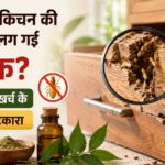 अलमारी-किचन की दराजों में लग गई दीमक? बिना ज्यादा खर्च के ऐसे पाएं छुटकारा